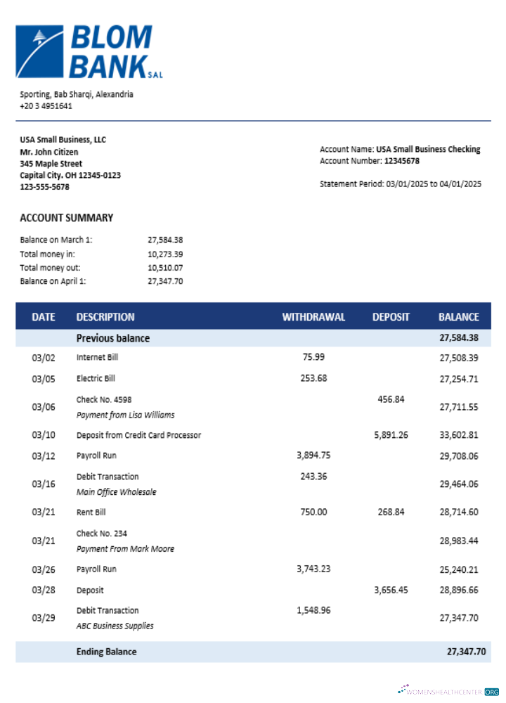 Download Blom Bank of Egypt enterprise account statement Word and PDF template Photoshop template